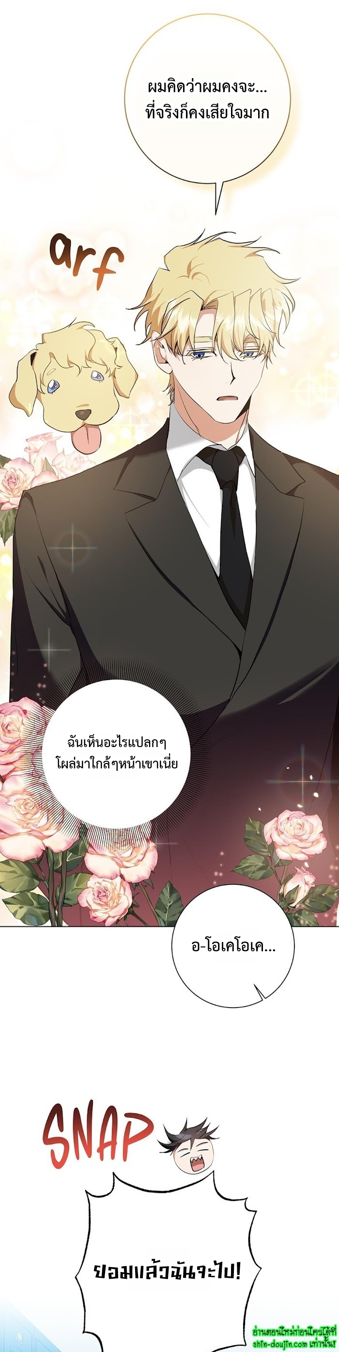 D AZE EP 20